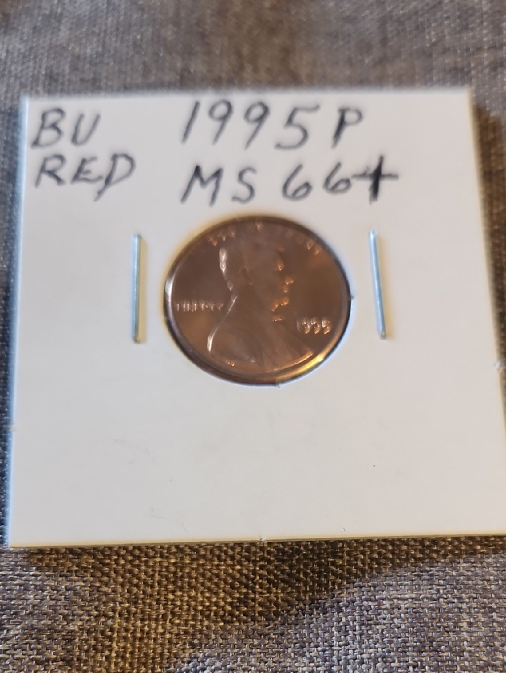 1995-P Lincoln Cent in White Card Holder - Red Tint